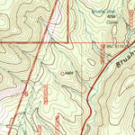 United States Geological Survey Saliz Pass, NM (1999, 24000-Scale) digital map