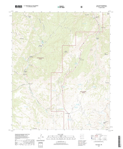 United States Geological Survey Saliz Pass, NM (2020, 24000-Scale) digital map