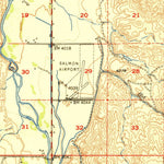 United States Geological Survey Salmon, ID (1951, 62500-Scale) digital map