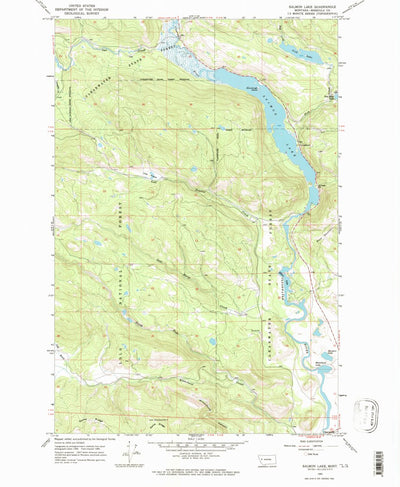 United States Geological Survey Salmon Lake, MT (1965, 24000-Scale) digital map