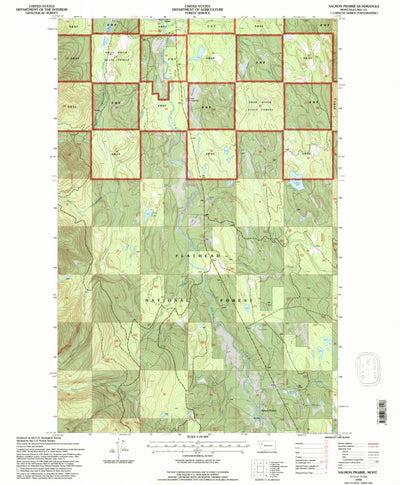 United States Geological Survey Salmon Prairie, MT (1994, 24000-Scale) digital map