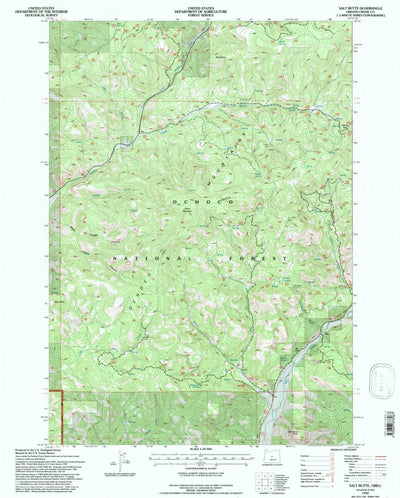 United States Geological Survey Salt Butte, OR (1992, 24000-Scale) digital map