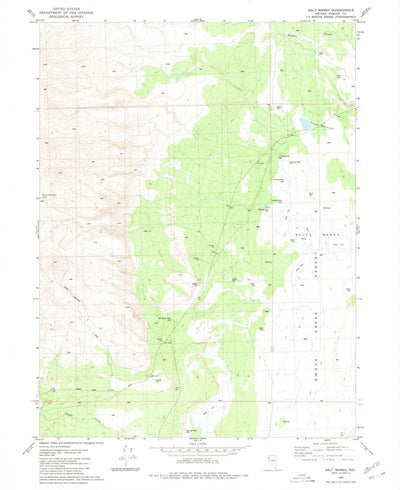 United States Geological Survey Salt Marsh, NV (1980, 24000-Scale) digital map