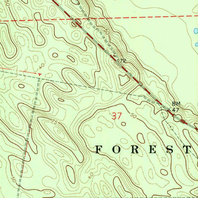 United States Geological Survey Salt Springs, FL (1970, 24000-Scale) digital map