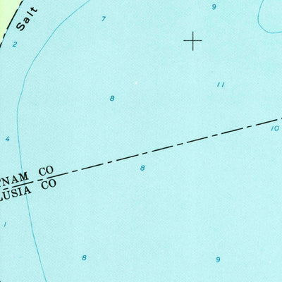 United States Geological Survey Salt Springs, FL (1970, 24000-Scale) digital map