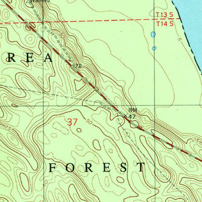 United States Geological Survey Salt Springs, FL (1994, 24000-Scale) digital map