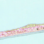 United States Geological Survey Salter Path, NC (1949, 24000-Scale) digital map