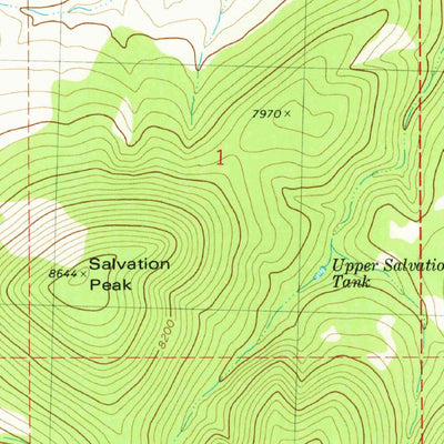 United States Geological Survey Salvation Peak, NM (1981, 24000-Scale) digital map