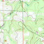 United States Geological Survey Samson, AL (1968, 24000-Scale) digital map