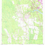 United States Geological Survey Samsula, FL (1952, 24000-Scale) digital map