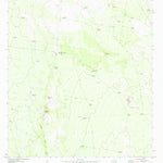 United States Geological Survey San Antonio Viejo, TX (1972, 24000-Scale) digital map