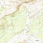 United States Geological Survey San Felipe Mesa, NM (1954, 24000-Scale) digital map