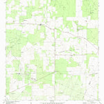 United States Geological Survey San Isidro, TX (1972, 24000-Scale) digital map