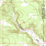 United States Geological Survey San Juan, NM (1963, 24000-Scale) digital map