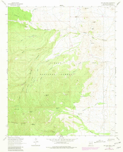 United States Geological Survey San Juan Peak, NM (1964, 24000-Scale) digital map