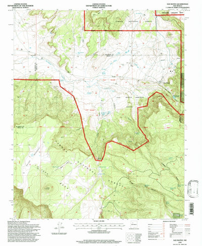 United States Geological Survey San Mateo, NM (1995, 24000-Scale) digital map