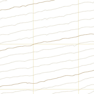 United States Geological Survey San Xavier Mission SW, AZ (2021, 24000-Scale) digital map