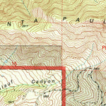 United States Geological Survey Santa Paula Peak, CA (1995, 24000-Scale) digital map