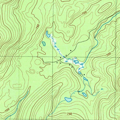 United States Geological Survey Santanoni Peak, NY (1979, 25000-Scale) digital map