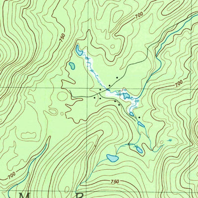 United States Geological Survey Santanoni Peak, NY (1999, 25000-Scale) digital map