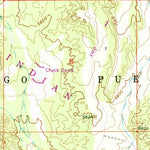 United States Geological Survey Santo Domingo Pueblo SW, NM (1953, 24000-Scale) digital map