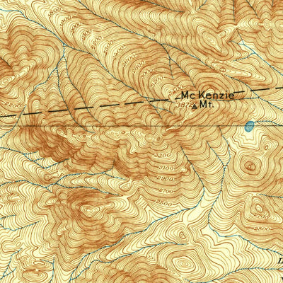 United States Geological Survey Saranac Lake, NY (1904, 62500-Scale) digital map