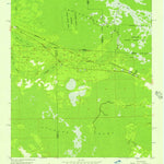 United States Geological Survey Sargent, FL-GA (1956, 24000-Scale) digital map