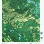 United States Geological Survey Sargent, FL-GA (1967, 24000-Scale) digital map