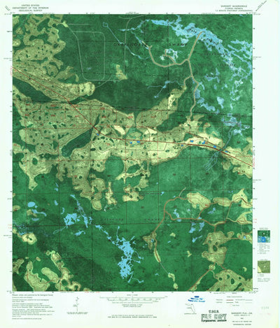 United States Geological Survey Sargent, FL-GA (1967, 24000-Scale) digital map