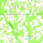 United States Geological Survey Sasser, GA (1956, 62500-Scale) digital map
