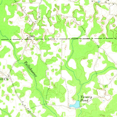 United States Geological Survey Sasser, GA (1956, 62500-Scale) digital map