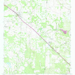 United States Geological Survey Sasser, GA (1973, 24000-Scale) digital map