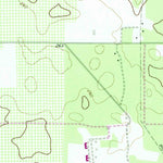 United States Geological Survey Sasser, GA (1973, 24000-Scale) digital map
