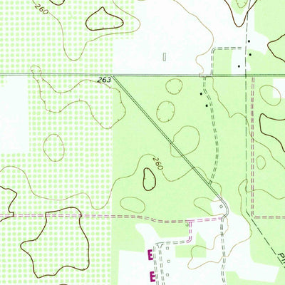 United States Geological Survey Sasser, GA (1973, 24000-Scale) digital map