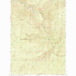 United States Geological Survey Savage Ridge, ID (1966, 24000-Scale) digital map
