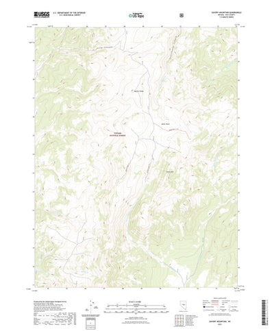 United States Geological Survey Savory Mountain, NV (2021, 24000-Scale) digital map