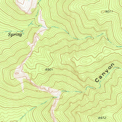 United States Geological Survey Sawmill Canyon, NV (1977, 24000-Scale) digital map