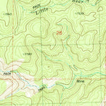 United States Geological Survey Sawmill Peak, NM (1981, 24000-Scale) digital map