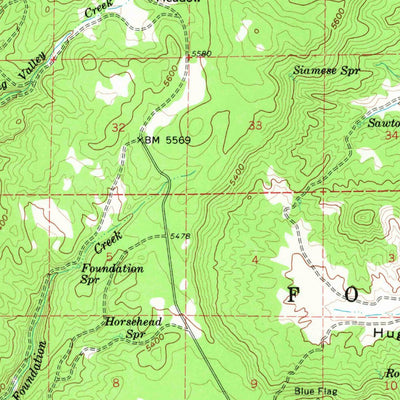 United States Geological Survey Sawtooth Creek, OR (1959, 62500-Scale) digital map
