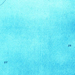 United States Geological Survey Sawyer Key, FL (1972, 24000-Scale) digital map