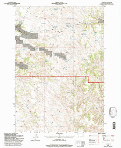 United States Geological Survey Sayle, MT (1995, 24000-Scale) digital map