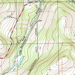 United States Geological Survey Sayre, PA-NY (1995, 24000-Scale) digital map