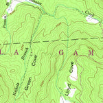 United States Geological Survey Scaly Mountain, NC (1946, 24000-Scale) digital map