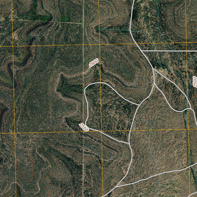 United States Geological Survey Schneeman Draw NW, TX (2010, 24000-Scale) digital map