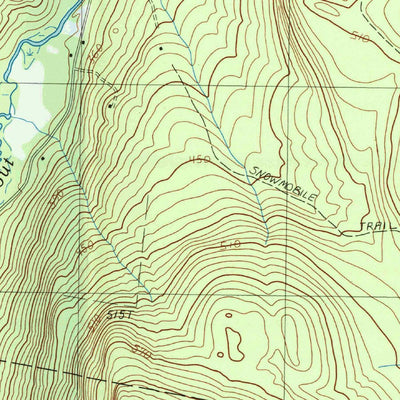 United States Geological Survey Schroon Lake, NY (1995, 25000-Scale) digital map