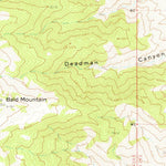 United States Geological Survey Schurz, NV (1964, 62500-Scale) digital map