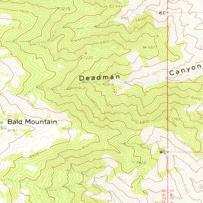 United States Geological Survey Schurz, NV (1964, 62500-Scale) digital map
