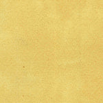 United States Geological Survey Sea Isle City, NJ (1888, 62500-Scale) digital map