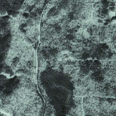 United States Geological Survey Seboomook Lake East, ME (1977, 24000-Scale) digital map