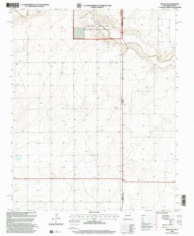 United States Geological Survey Sedan NE, NM-TX (1998, 24000-Scale) digital map